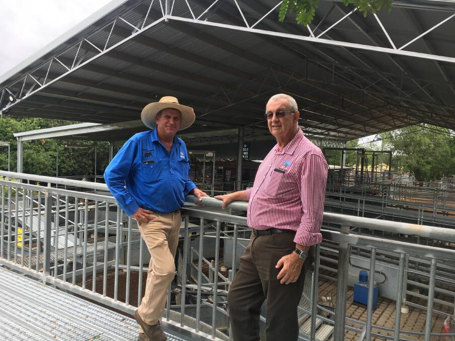 Blackall Saleyard manager Dave Carter and Blackall-Tambo Regional Council CEO Des Howard checking that it was all systems go for Blackall's opening sale of the year last Thursday. Picture - Ann Kirby.