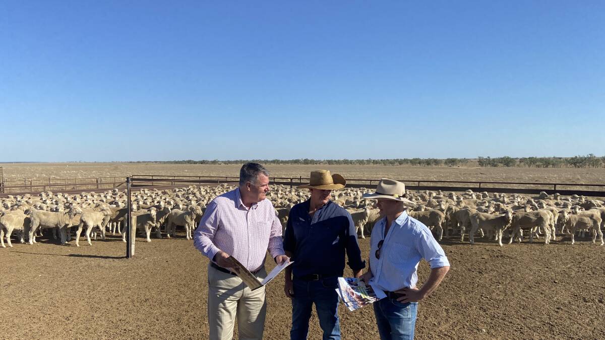 Mark Furner, Beaconsfield Station owner Peter Thomas and AgForce Sheep and Wool vice president Paul Donelly.