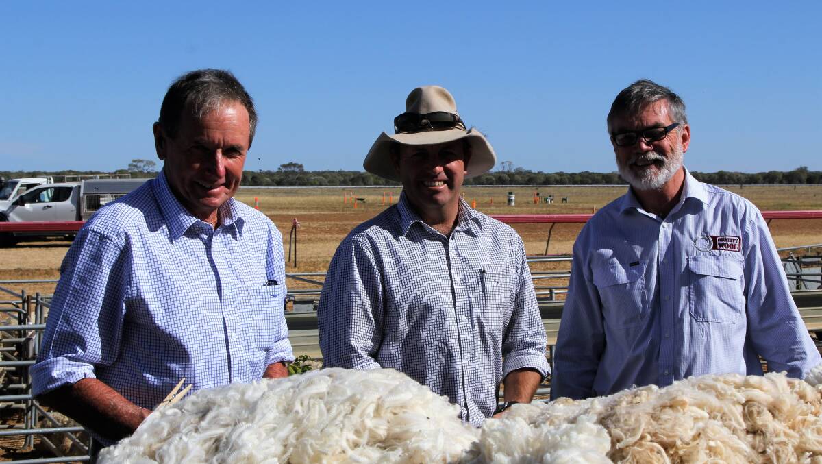 Stonehenge and Longreach woolgrowers, Mike Pratt and Dominic Burden, inspecting wether trial fleeces with Quality Wool's David Henderson at the Isisford show.