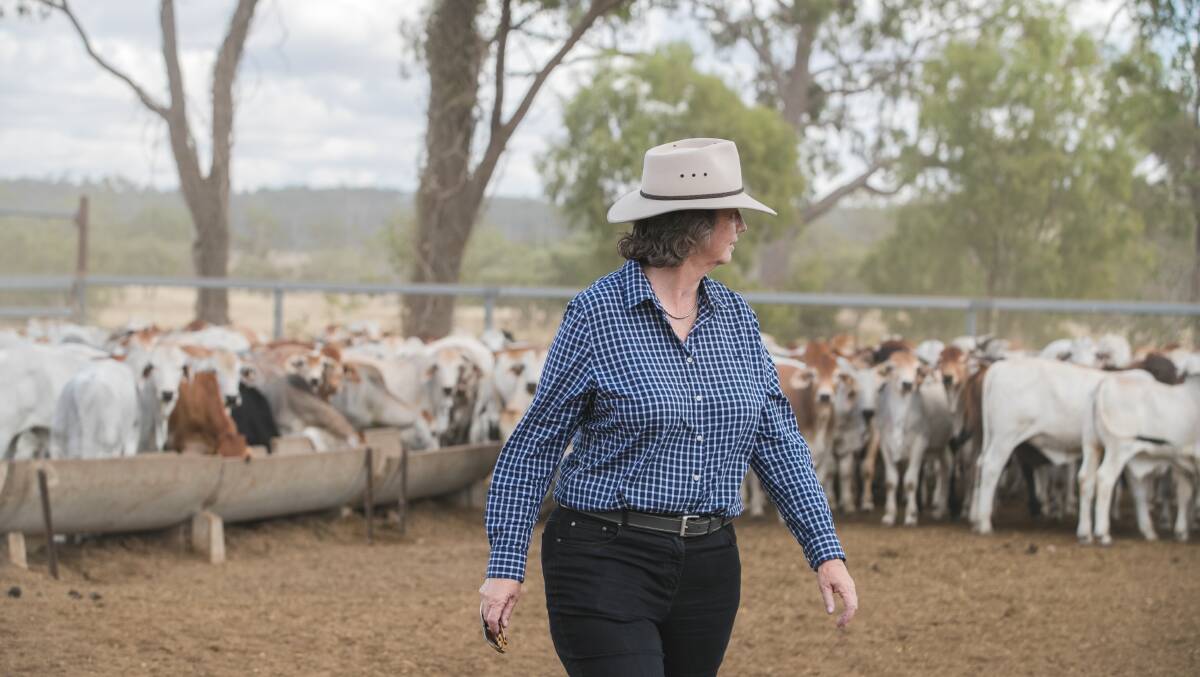 Professor Mary Fletcher made the discovery while looking into combating pimelea poisoning in cattle. Picture suppied.