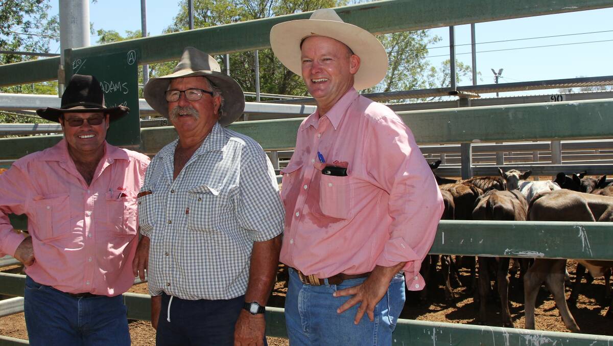 Going north: It was a humid morning's work at the Blackall sale for Winton Elders agent, Mavryn Remfrey, David Batt, Nuken, Winton, and Tim Salter, Elders Longreach. Picture: Sally Cripps.