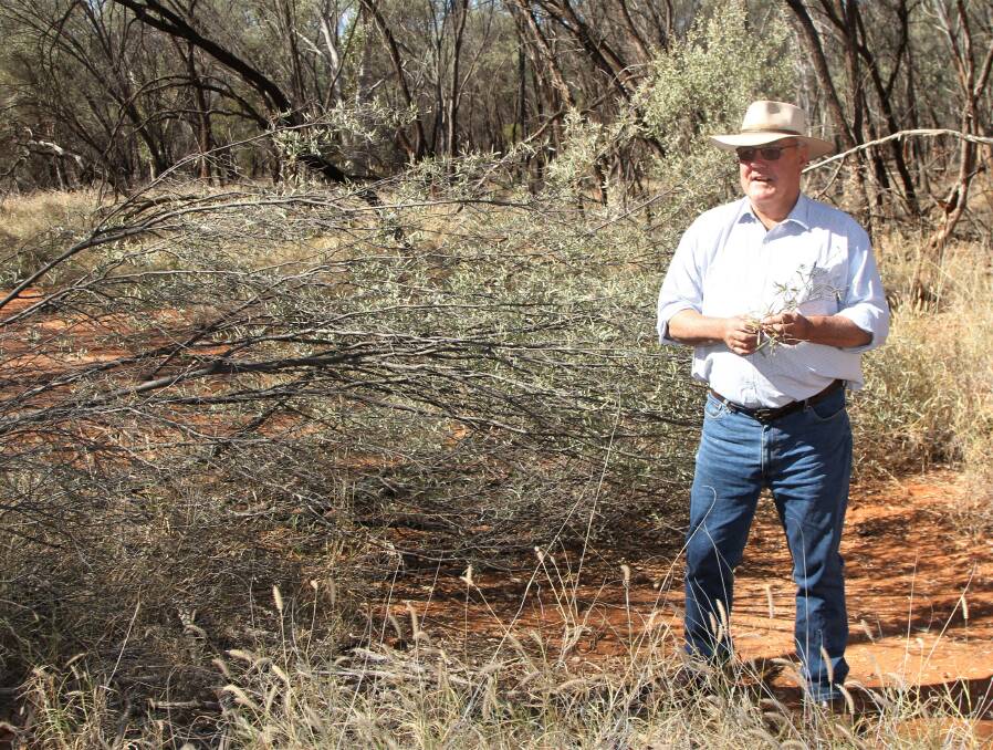 Lindsay Godfrey, Tinnenburra, Cunnamulla, has been part of a carbon farming initiative since 2005 and said it helped them through some tough times.
