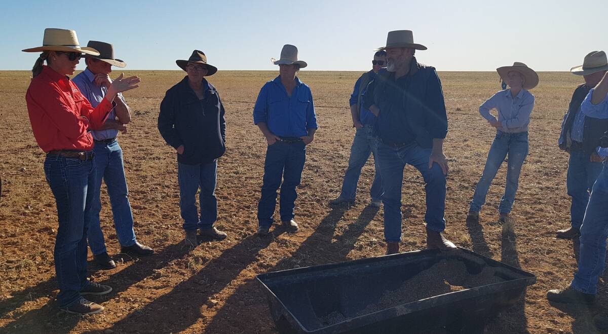 Peter Batt, Mike Pratt and Belinda McLeish from Western Livestock Nutrition are trialling two sodium bentonite and protein dry lick mixes at Eldwick Station.