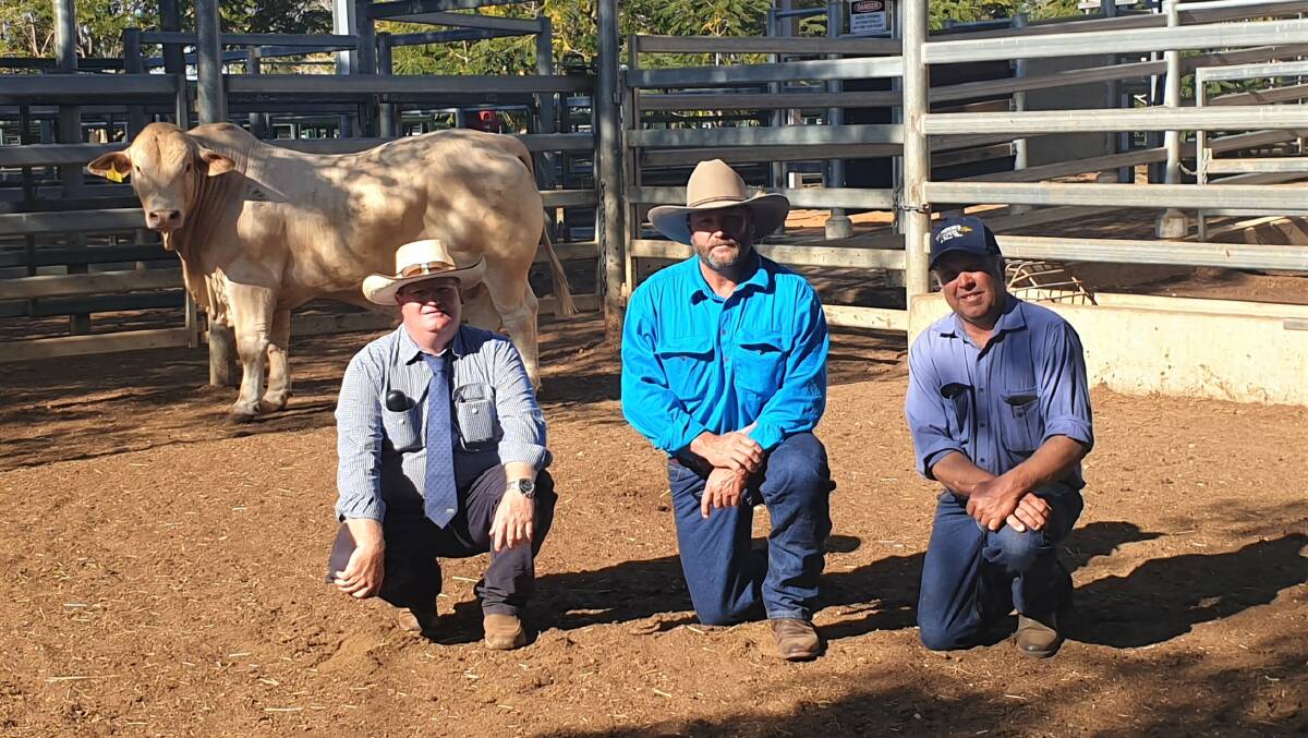GDL stud sales representative Mark Duthie with Danny and Murray Allan, Erne, Blackall, and Acton Prospect, the top-priced Charbray bull. Pictures - Sally Gall.