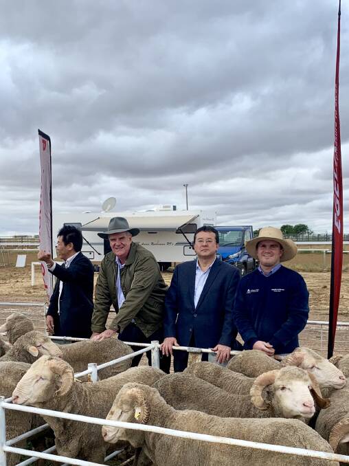 Representatives from the Japanese Consulate-General, based in Brisbane, with Agriculture Minister Mark Furner and Boonoke Stud's Tom Lilburne, looking at some of the rams on display.