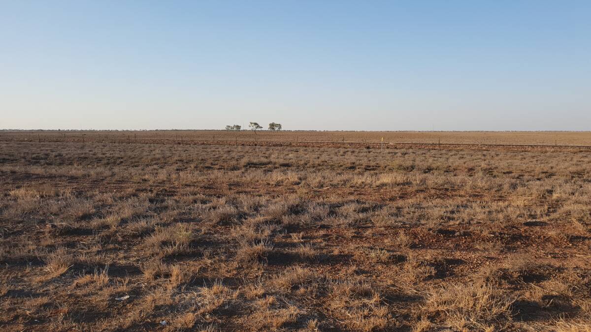 We're waiting: The view at Barcaldine in central west Queensland this week. Picture: Sally Cripps.