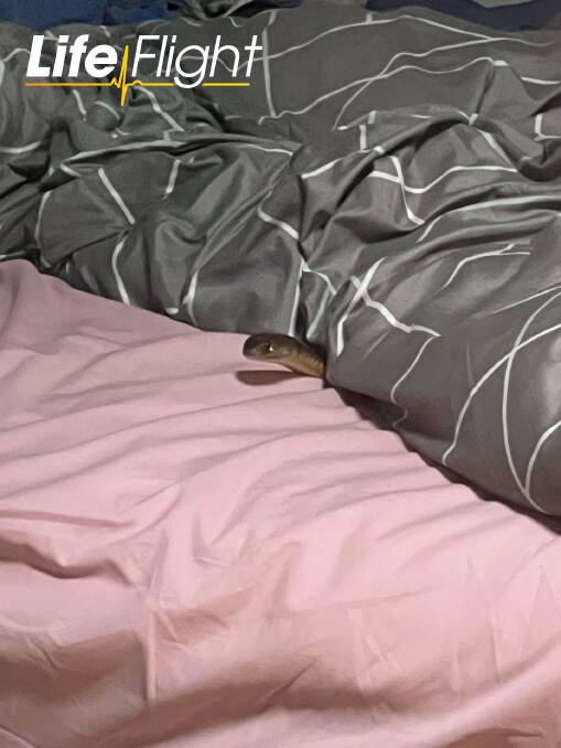 A LifeFlight crew was called to Meandarra to respond to an incident in which a woman was bitten by a snake in her bed. Picture: Supplied