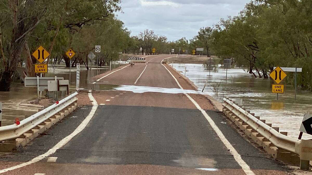 Landsborough Creek was level with the road at Muttaburra on Monday afternoon and still rising. Picture - Sue Wyton.