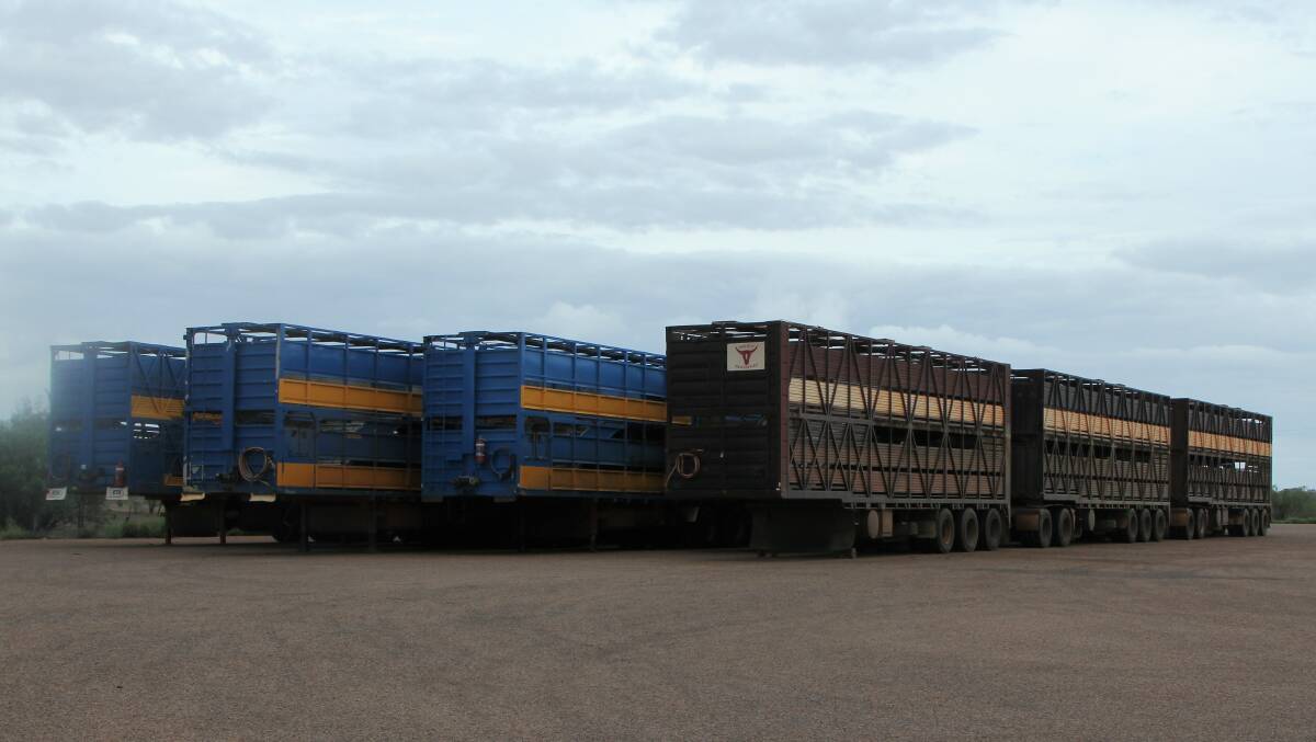 Empty cattle trailers waiting at Longreach.