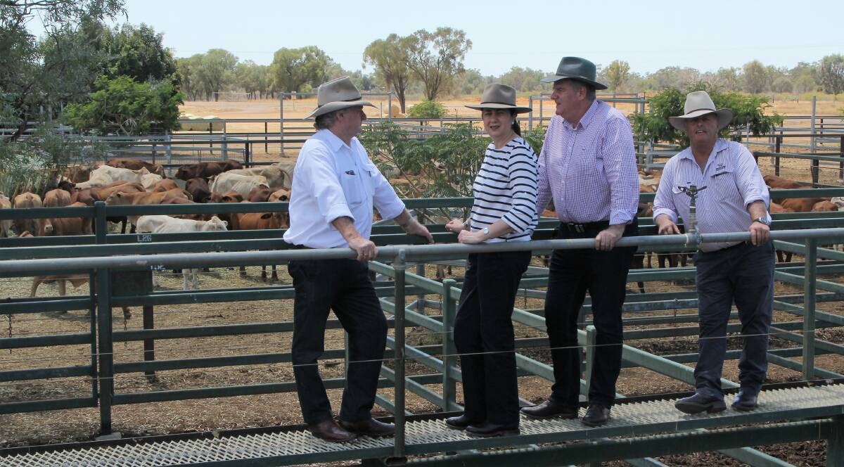 Inspecting Blackall saleyard facilities are drought commissioner, Vaughan Johnson, Premier Annastacia Palaszczuk and Agriculture Minister, Mark Furner, with Blackall-Tambo mayor, Andrew Martin.