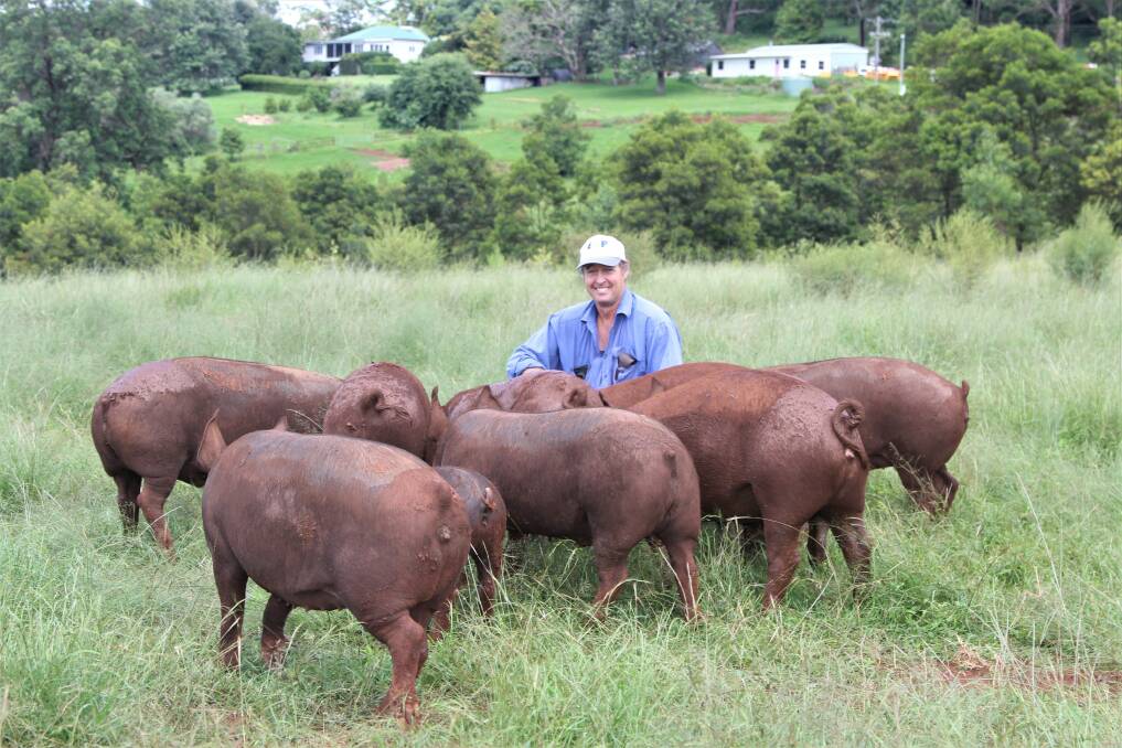 Gordon Fawckner surrounded by some of his hungry free-range Berkshire and Duroc pigs. Pictures: Sally Gall