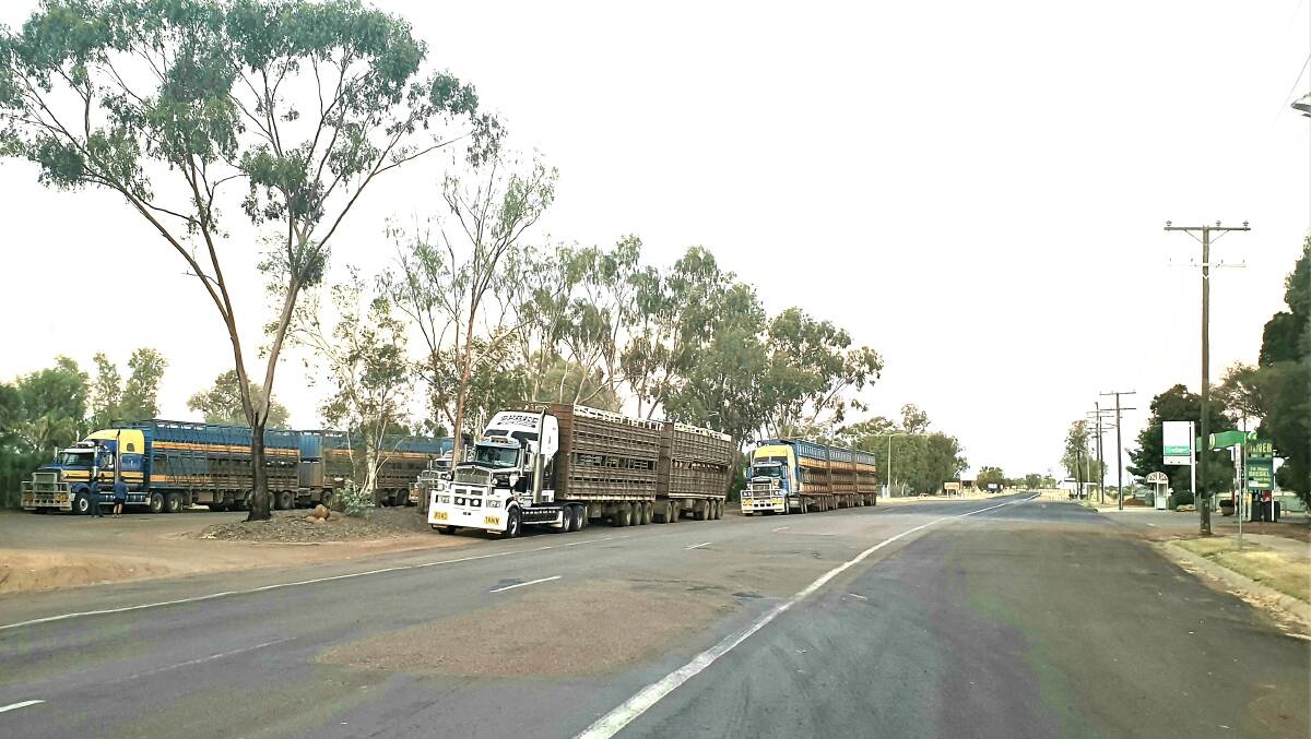 Road trains pulled up for a meal and a shower at a Blackall roadhouse, one of a number on western Queensland's national highways that have modified their operations to cater for operators abiding by COVID-19 restrictions to deliver essential freight. Pictures - Sally Gall.