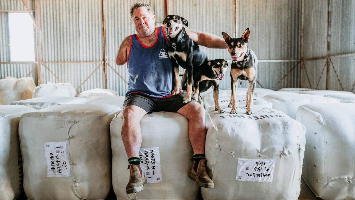 Dave Wyllie and his kelpie companions at a shearing shed in western Queensland. Picture: James Braszell Photography