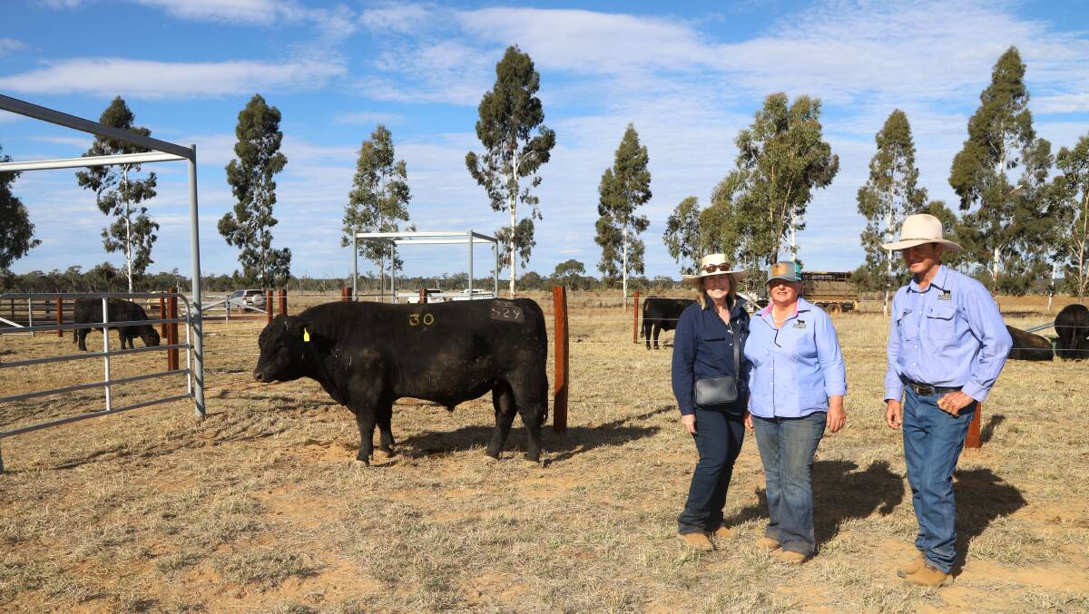 Equal second top priced bull, Fairview Sambuca S29, with Jane Maudsley, Mitchell, and vendors Roslyn Ware and Tony Horvath. Picture: Sally Gall