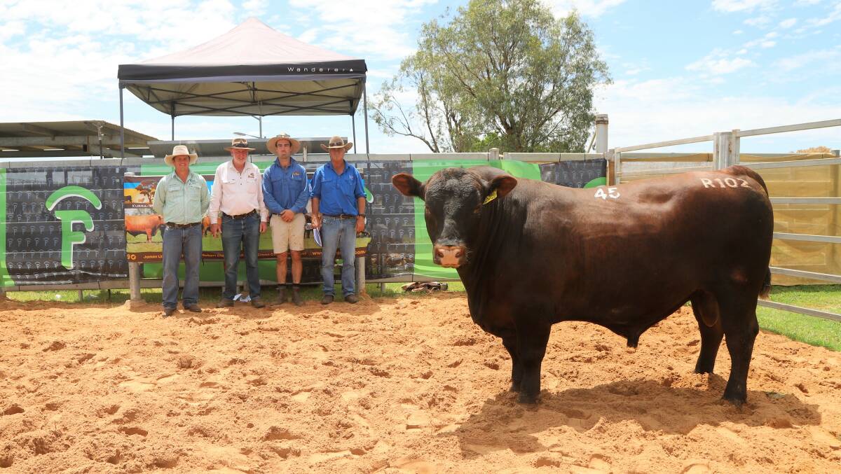 Beau Frame, Frame Rural Agencies, Robert and Simon Close, Kurra-Wirra, and buyer, Philip Curr, Julia Creek, with the top priced bull, Kurra-Wirra Crowbar R102, purchased for $18,000. Picture: Sally Gall