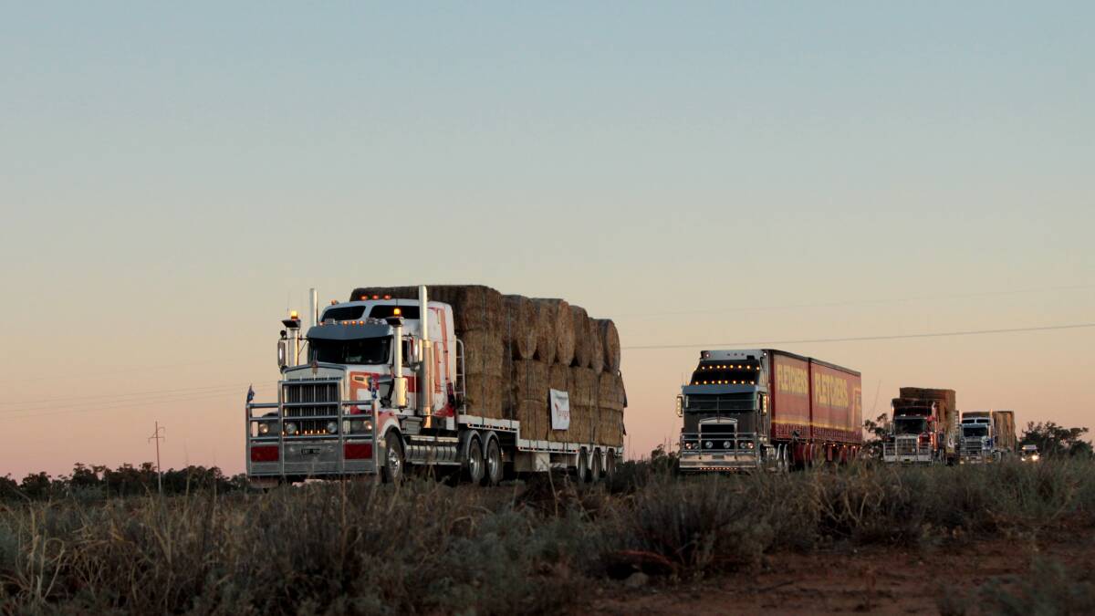 Trucks filled with hay on their way into Ilfracombe.