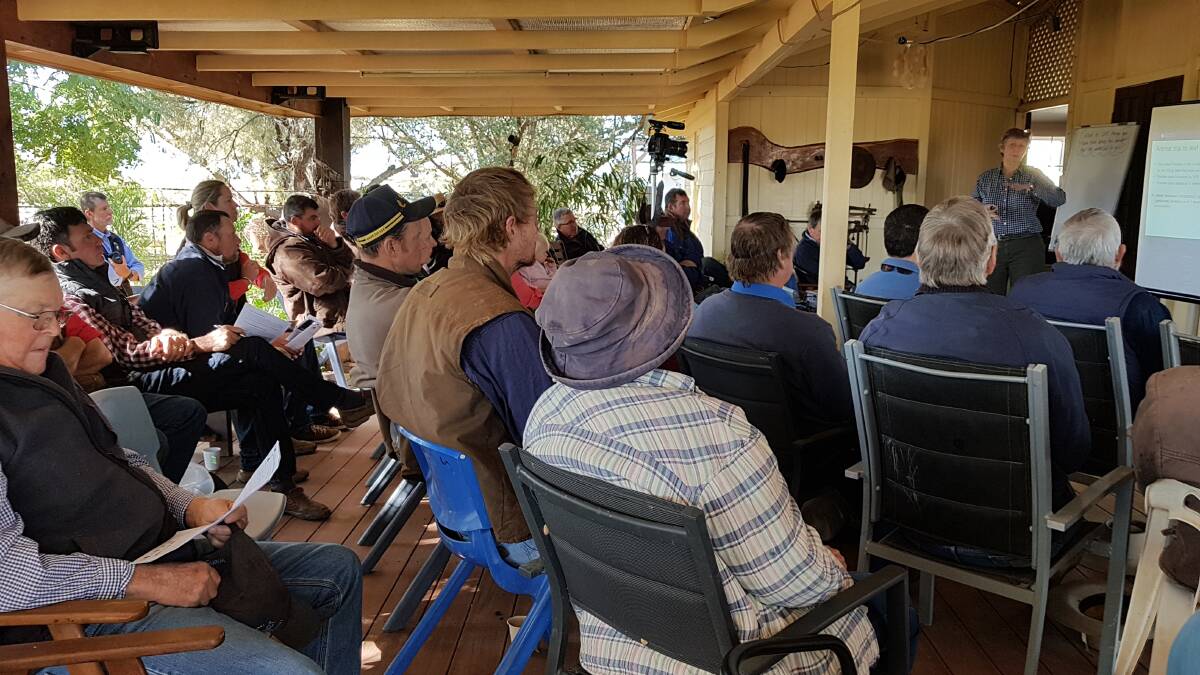 Over 45 producers gathered at Eldwick Station, west of Stonehenge for updates on MLA-funded pimelea research from QAAFI toxic plant chemist, Professor Mary Fletcher.
