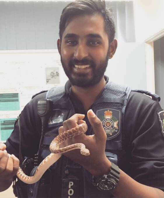 A Blackall officer handling one of the small pythons.
