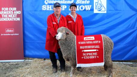 Kevin and Danni Crook, Tamaleuca Merino and poll Merino Stud, Ouyen, Victoria holding the supreme exhibit of the 2024 Queensland State Sheep Show. Picture: Sally Gall