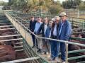 Watching the 1048 head of Santa Gertrudis-cross cattle to be sold are Chris Weston, John Stirk, Roger Halliwell, Dallas and Bill Scott, and Longreach agent Richard Simpson. Picture: GDL Blackall