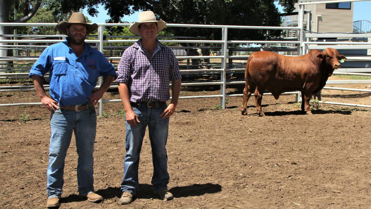 Medway's Brenten Donaldson with Wayne York, purchaser of the stud's top priced bull, Medway Bas.