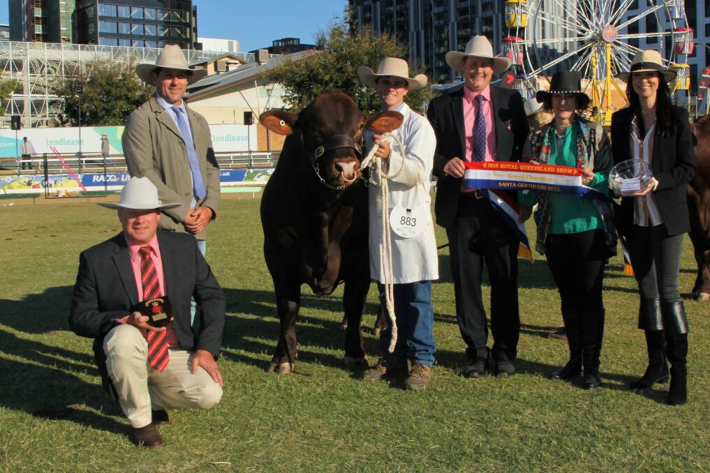 With the grand champion bull, Yarrawonga H Bomb, are Elders representative, Michael Smith, Andrew Bassingthwaighte, Jack McGee, Glen Oaks Fitting Services, judge, Tom Baker, trophy donor, Wendy Ferguson, and Fiona Bassingthwaighte.