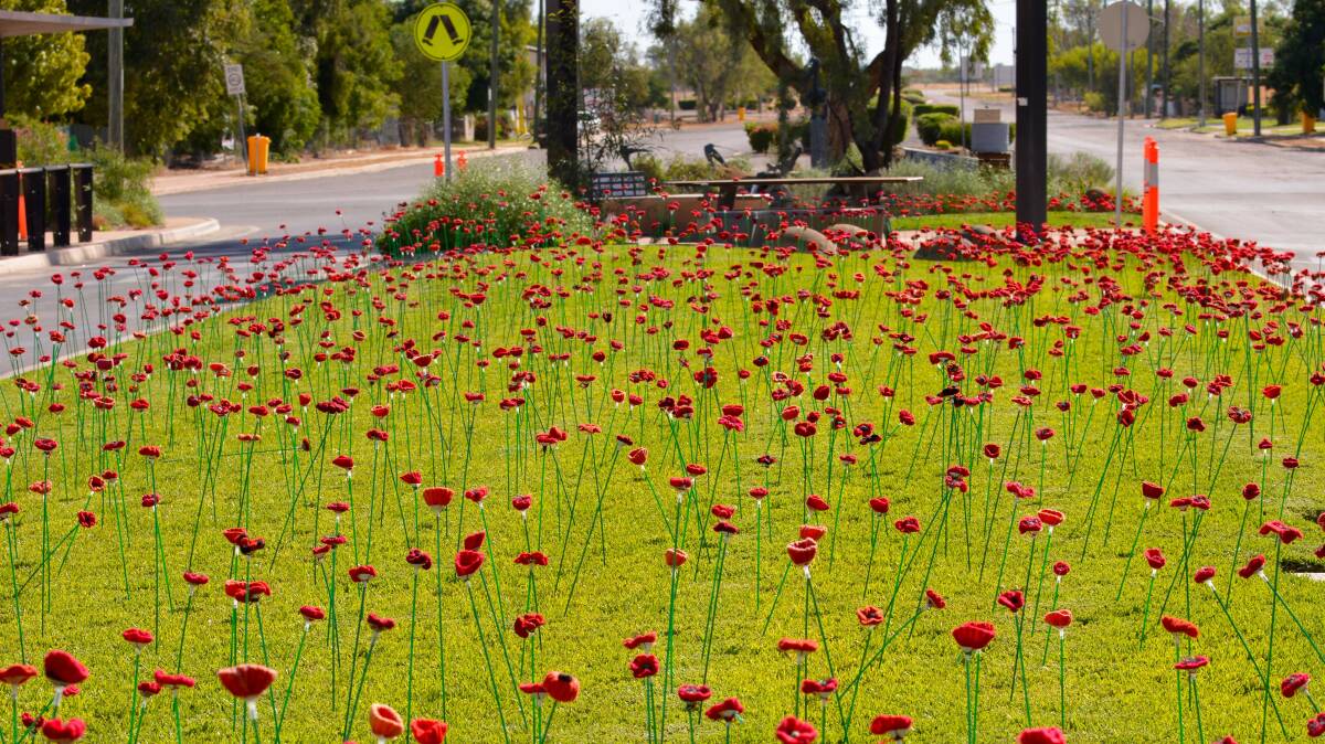 The poppies contrast with new green turf laid as part of Winton's main street redevelopment.