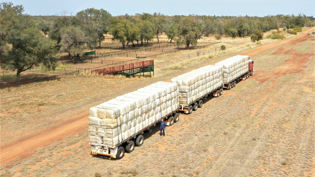 Making a statement: A triple road train of Merino wool - 378 bales or 126 bales a trailer - is a rare sight these days but one Blackall's Nev Noske has seen plenty of in his 60 years carting wool. Picture: Sally Gall.
