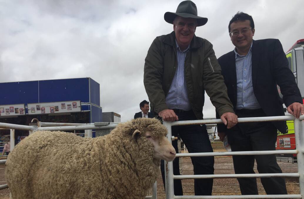 Mr Furner and Mr Tanaka got to handle some of the sheep brought in for the flock ewe competition at the Winton Show.