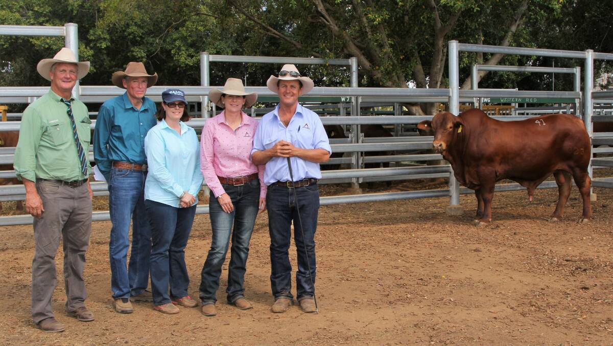 Longreach sale: Regional Landmark owner, Boyd Curran, with purchasers of the top priced bull, Jim and Becky Farquhar, Calco Droughtmaster Stud, Rolleston, and vendors, Julie and Dean Allen, Western Red Droughtmasters, Longreach. Picture: Sally Cripps.