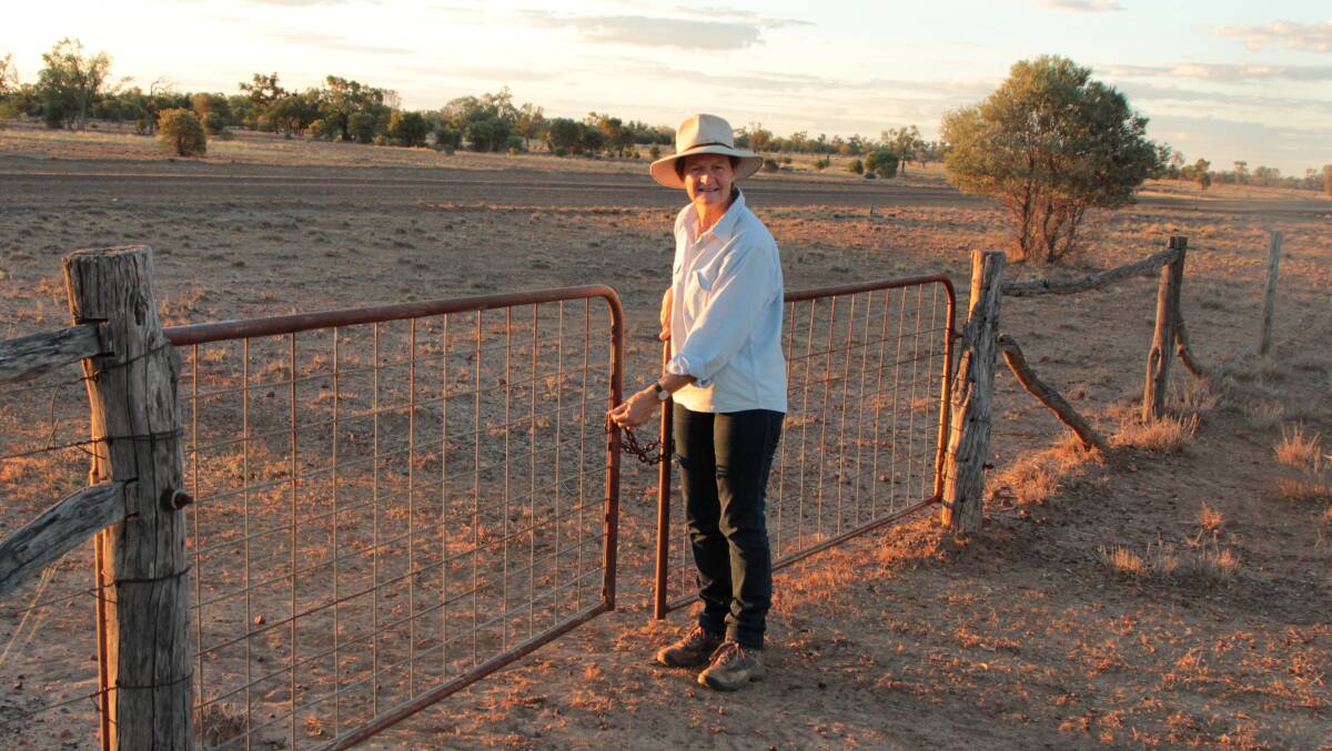 Waiting game: Ros Wood is like many other graziers in the west hoping dams will fill this year. Pictures: Sally Cripps.