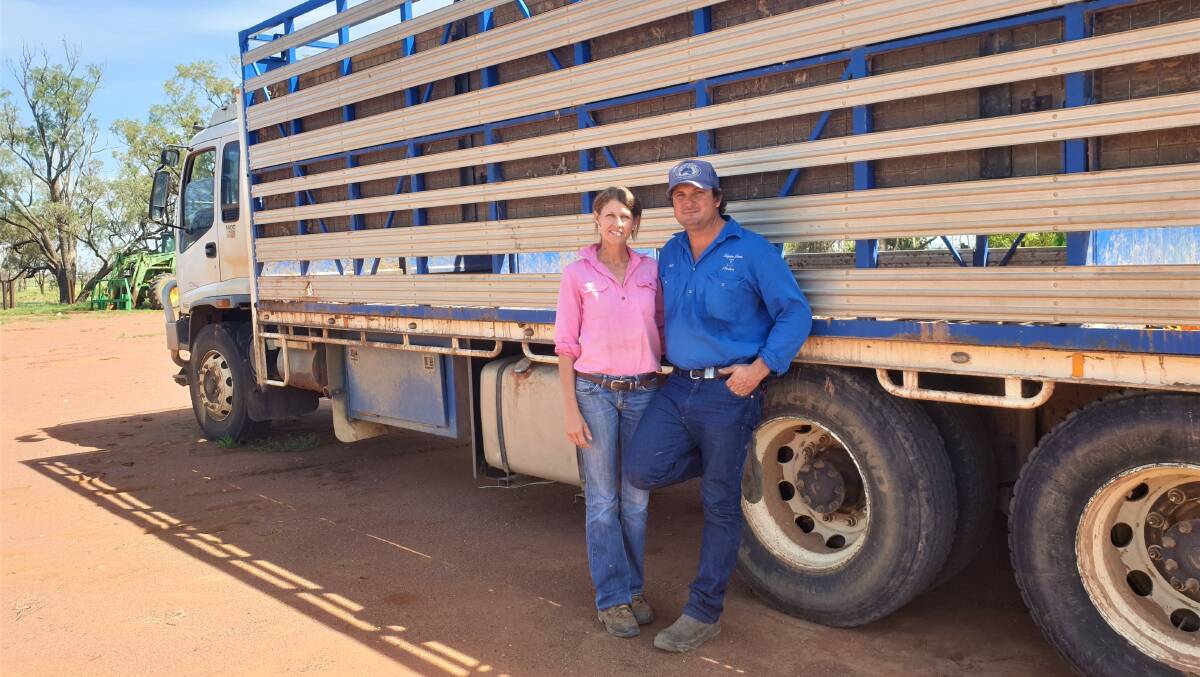 Alison and Scott Todd moved to Brigalow Downs south of Bollon in 2014 and have turned the rangeland goats running freely on the property into a profitable breeding business. Pictures - Sally Gall.