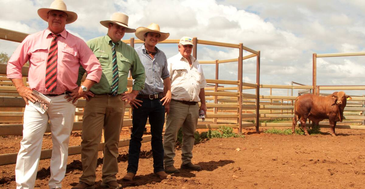 Selling agents Brian Wedemeyer and Trent McKinlay with John and Jim Edwards, Barlyne Pastoral, Gayndah.