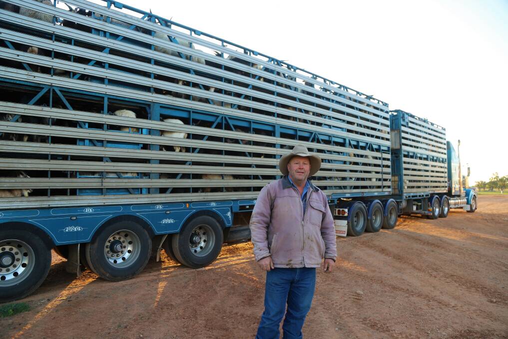 Rob Newton farewells a B-double load of goats from his depot at Bourke to Stawell in western Victoria. Picture by Sally Gall