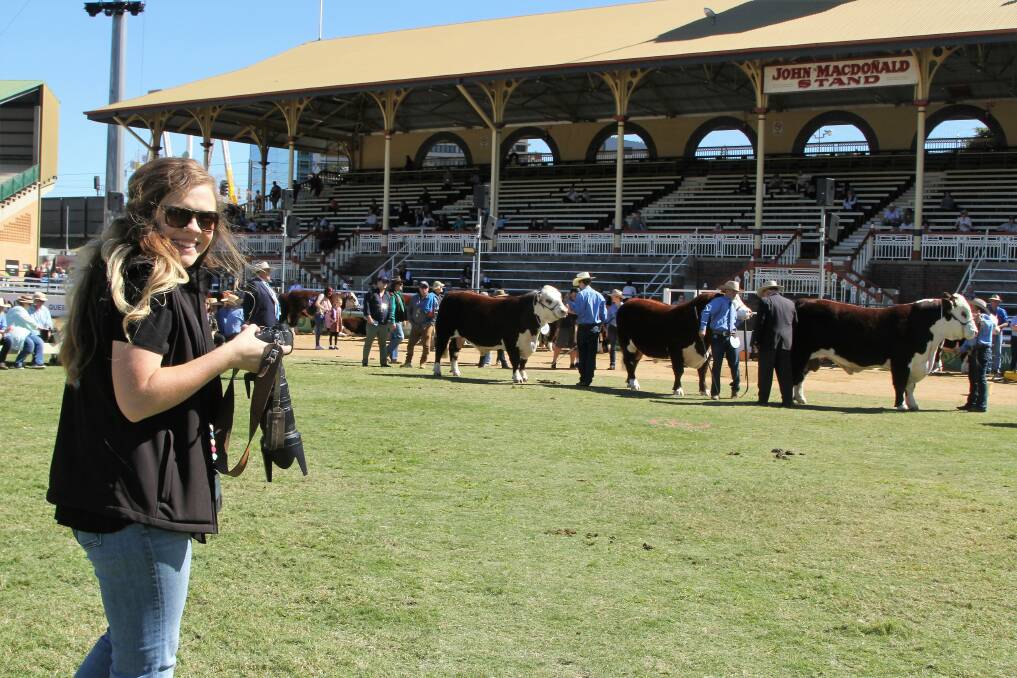 Candid camera: Sierra Franks was loving the opportunity to compare Queensland's Herefords with the ones bred back home in Texas. Picture: Sally Cripps.