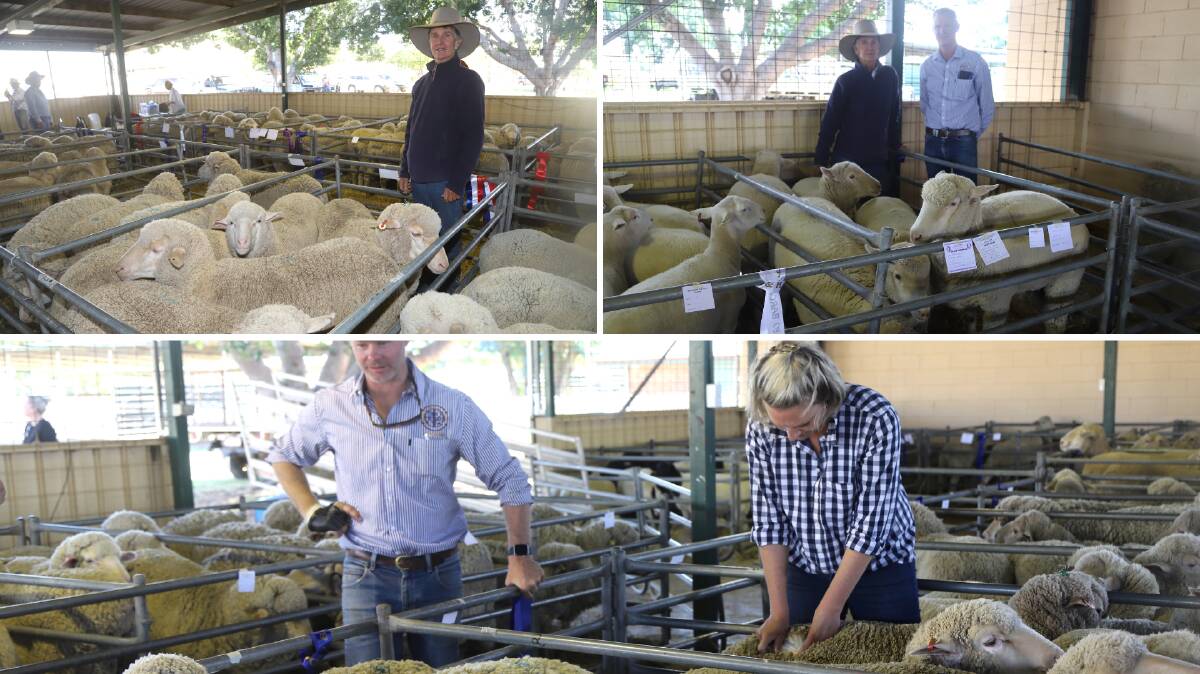 Longreach's Paula Dean pictured with her champion flock Merino ewe, left, and her winning pen of trade sheep, plus steward Scott Counsell. Flock ewe steward Paul Doneley with flock ewe judge Steph Keogh going through the pens. Pictures: Sally Gall