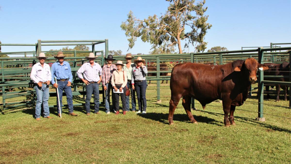 Ben and Andrew Walker, Strathmore, with James, Ella, Trish and Sarah Pearson, Bull Creek Pty Ltd, the purchasers of the top priced bull, and Kerry Walker. Photo: Sally Gall