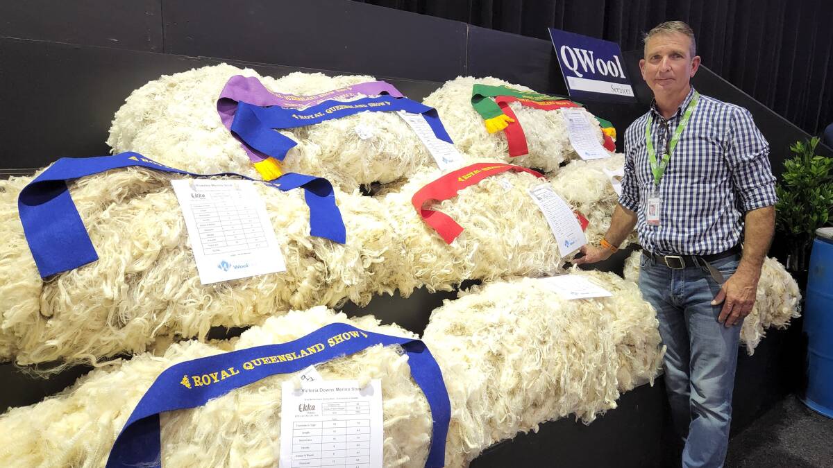 Ekka Merino wool competition organiser Bruce Lines with some of the 55 entries on show.