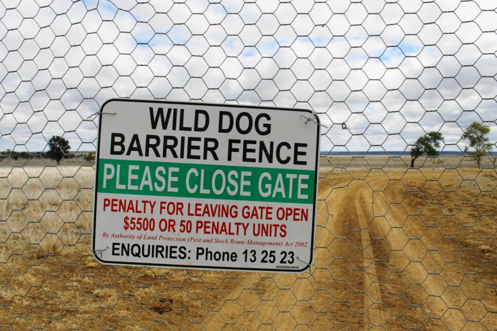 The Wild Dog Barrier Fence is 5614km long, passing through Queensland, New South Wales and South Australia.
