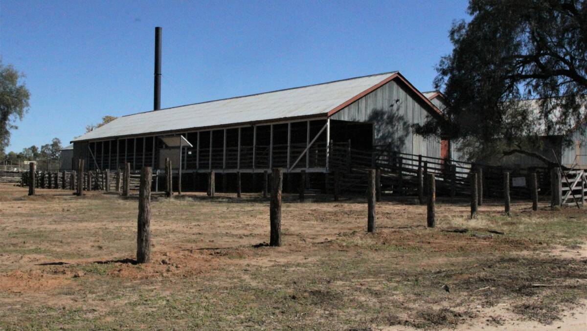 A closer view of the new posts that have been stood in the heritage-listed Blackall Woolscour yards.