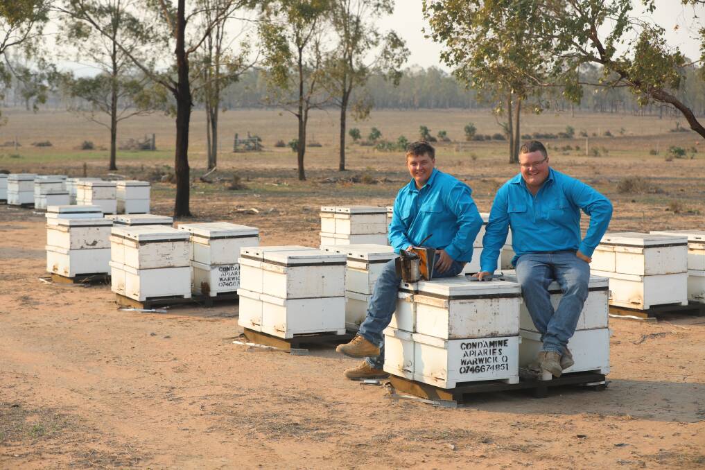 Wheatvale's Connor and Jacob Stevens are among the state's beekeepers struggling to keep their hives viable in the wake of drought and bushfires. Pictures supplied.