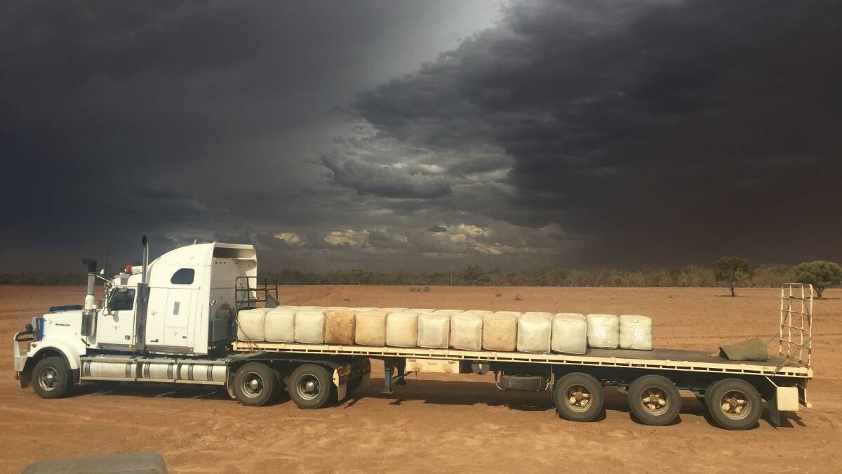 Shearers and graziers alike were filled with hope on Tuesday afternoon when the storm clouds rolled over at Possamunga, Toompine, but little rain fell from them. Photo - Tanya King.