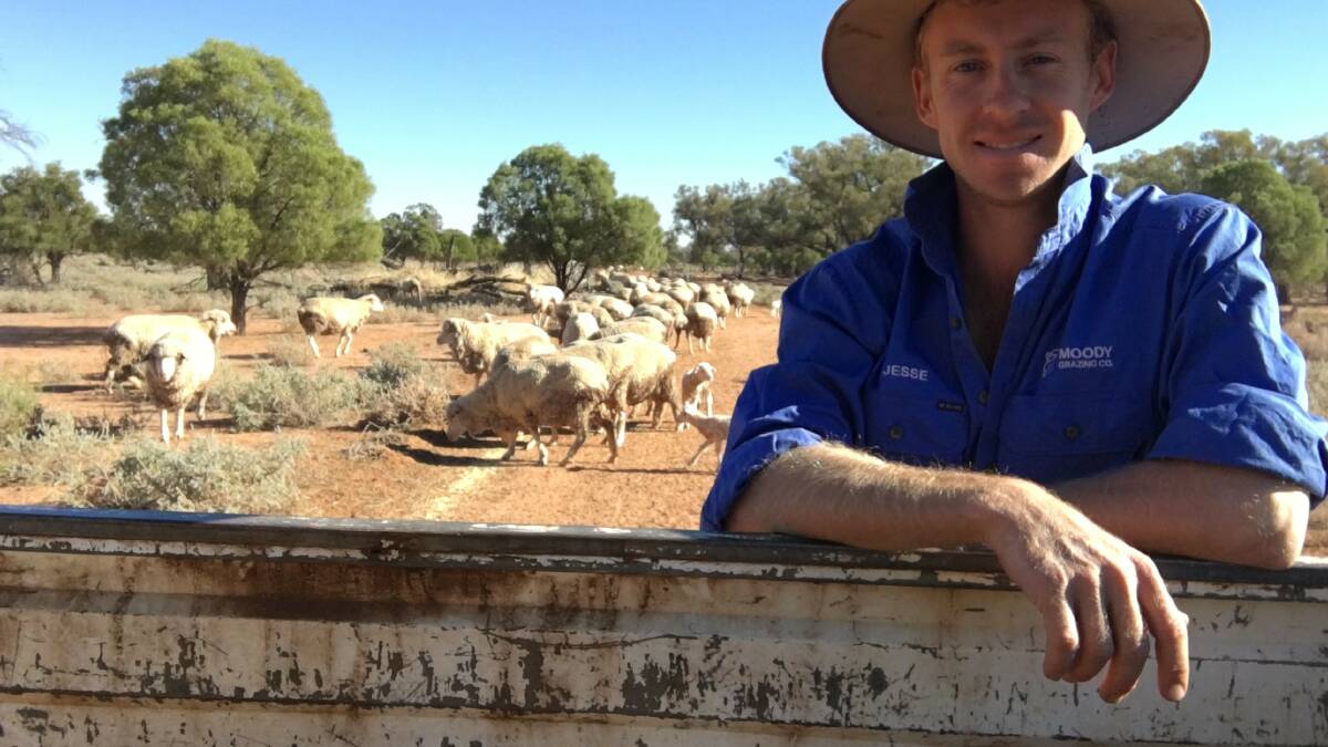 Profitable production changes implemented at Cunnamulla thanks to ...