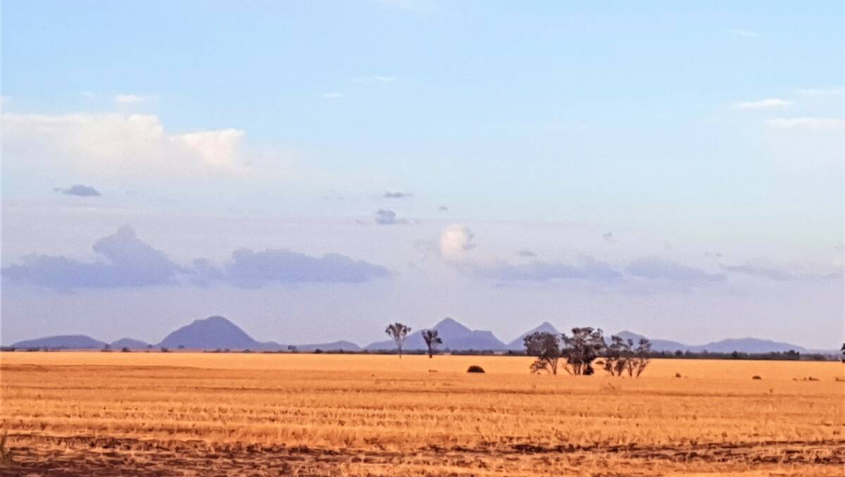 Paddocks waiting for rain in the Capella region of central Queensland. Picture - Sally Gall.