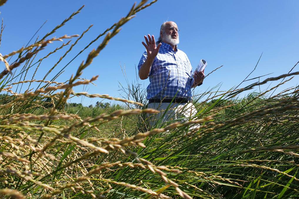 University of Minnesota Forever Green Initiative proponent Dr Don Wyse explains the benefits of perennial wheat. Picture - Sally Cripps.
