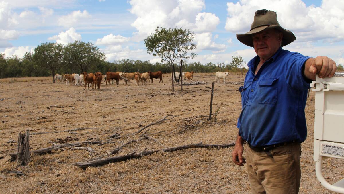 The hot weather has dried out the paddocks at Alamby throughout summer.