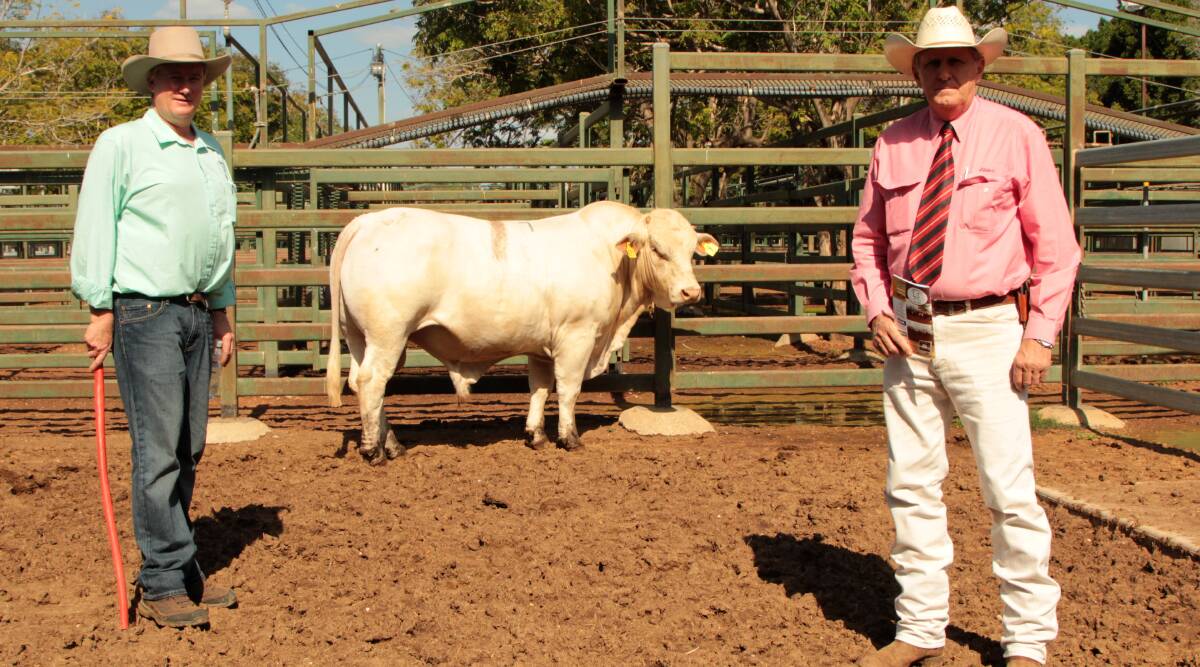 Stand tall: Lambert stud principal Scott Bredhauer and Elders Blackall branch manager, Daven Vohland, the agent for Matt Welsh and the Welsh Cattle Co, purchasers of the top-priced bull, Charbray Acton Kenilworth. Picture: Sally Cripps.