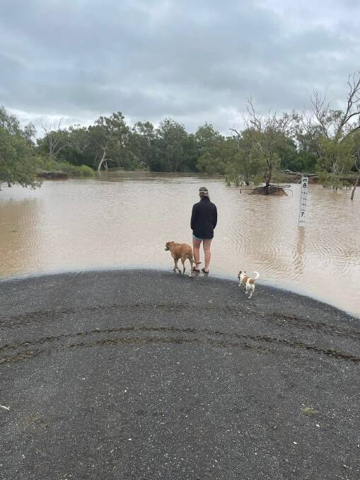 Sarah Suhr checks out the Belyando River at Albro, 150km west of Clermont, as it nears 7m. Picture: Mark Suhr