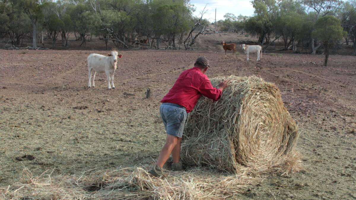 Hay help: Martin and Kerry Lloyd have benefited from ongoing donations of hay from the Burrumbuttock Hay Runners.