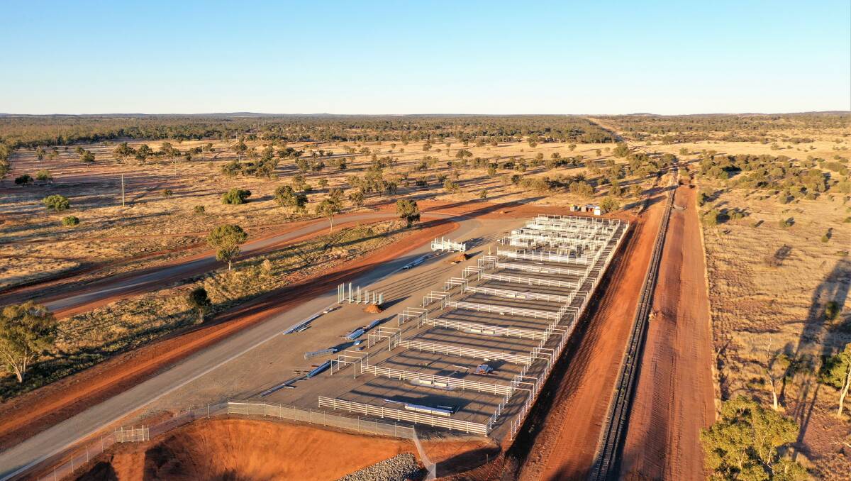 Livestock interchange takes shape at Morven | Queensland Country Life | QLD